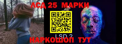 крисы Будённовск