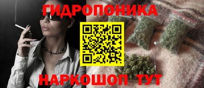 крисы Будённовск