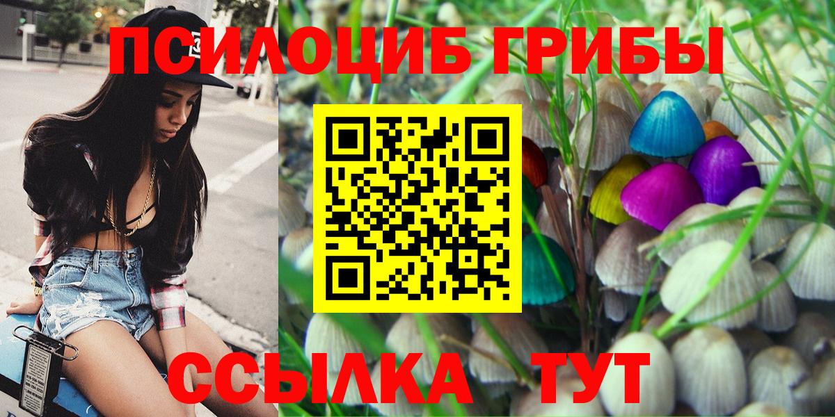 Галлюциногенные грибы MAGIC MUSHROOMS Сланцы