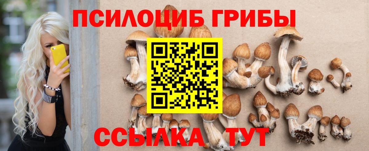 Псилоцибиновые грибы GOLDEN TEACHER  Вход с VPN  Сланцы 